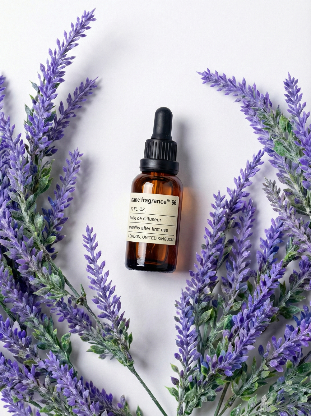 Charabanc Fragrance NO.66 Lavender de Provence essential oil bottle surrounded by vibrant purple lavender sprigs on a white background.