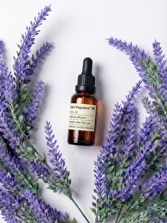 Charabanc Fragrance NO.66 Lavender de Provence essential oil bottle surrounded by vibrant purple lavender sprigs on a white background.